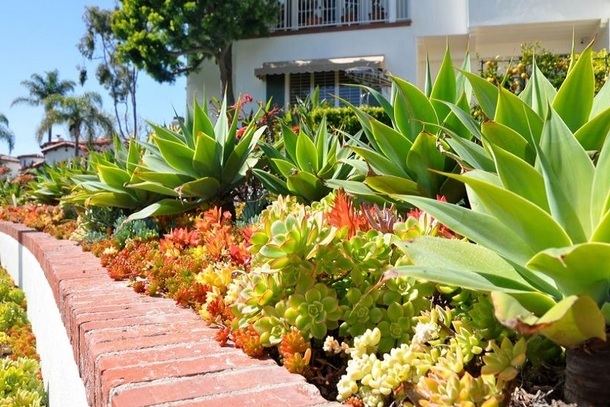 Laguna Beach Garden Club