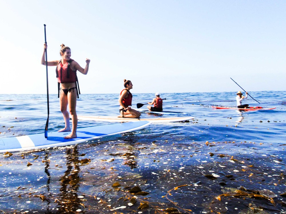 La Vida Paddleboard La Vida Paddleboard