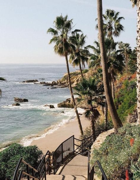 25 Things to Do in Laguna Beach in 2025.
