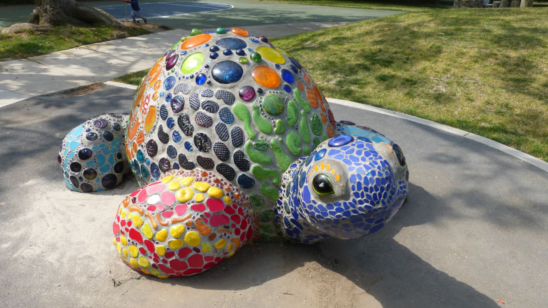 Laguna Tortoise Laguna Tortoise