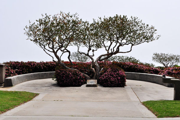 Crescent Bay Point Park