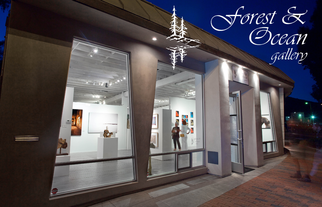 Forest & Ocean Gallery