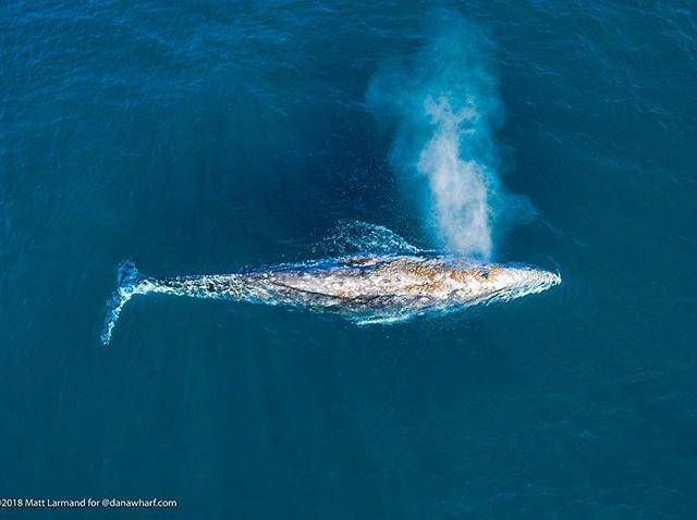 Valentine's Day in Laguna Beach Valentine's Day in Laguna Beach