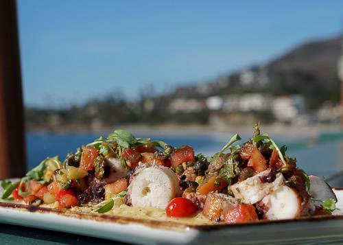 Freshest Finds: Your Trusted Guide to Seafood in Laguna Beach Driftwood Kitchen Grilled Spanish Octopus