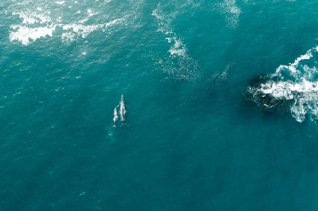 Experiences + Tours Experiences + Tours