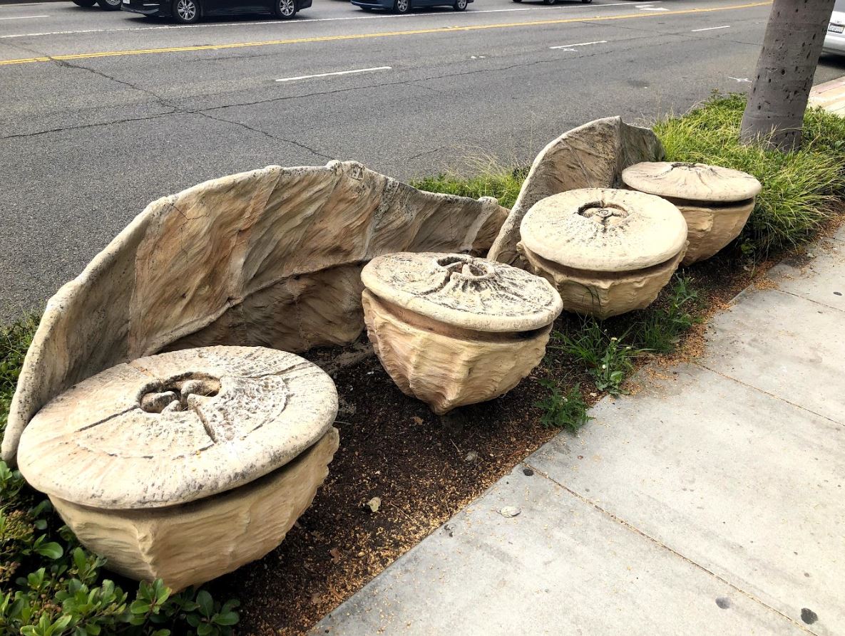 Eucalyptus Bench Eucalyptus Bench