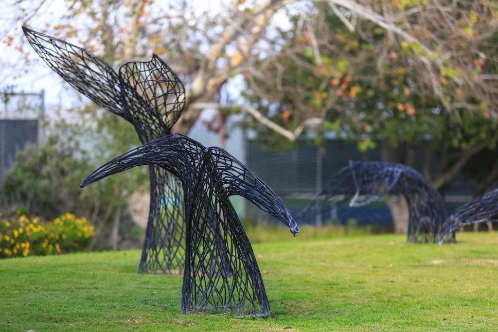 Major Attractions Major Attractions