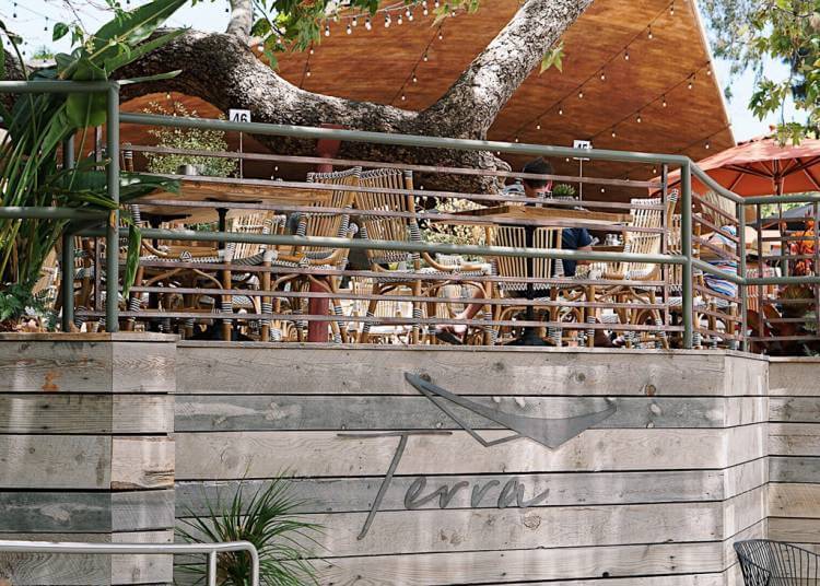 Navigating Laguna Beach's Summer Festivals Navigating Laguna Beach's Summer Festivals