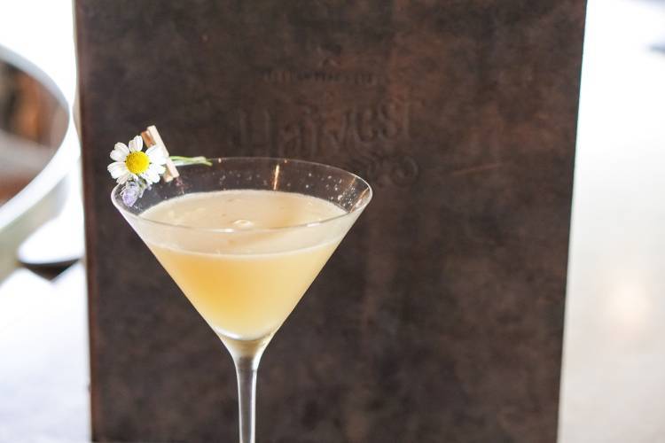 Celebrating Earth Today and Every Day