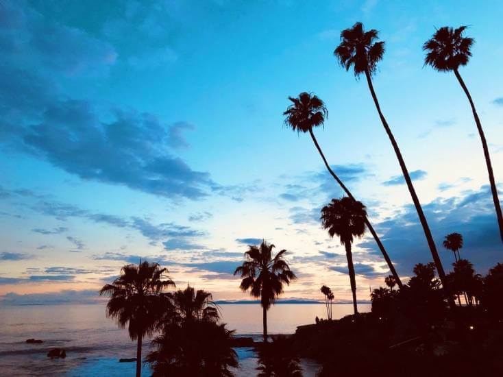 Caitlin’s Laguna Beach Essentials Caitlin’s Laguna Beach Essentials