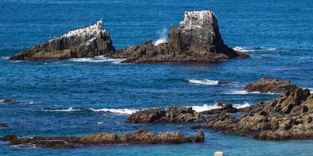 Orange County Public Transportation Orange County Public Transportation