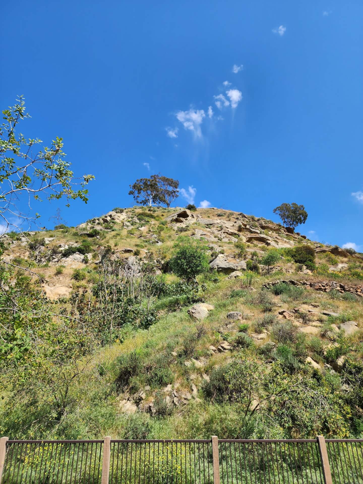 Let's Go to the Hive in Laguna Beach