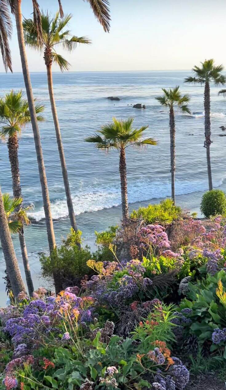 25 Things to Do in Laguna Beach in 2025. 25 Things to Do in Laguna Beach in 2025.