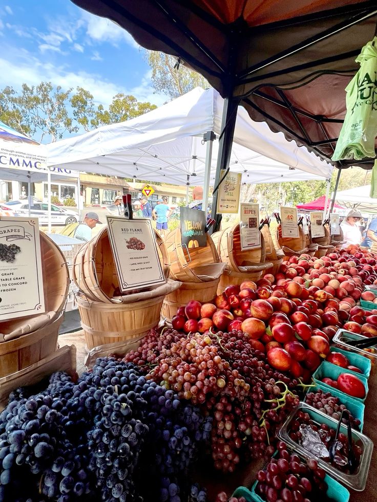 25 Things to Do in Laguna Beach in 2025.