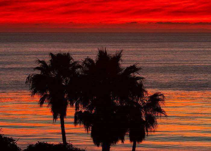 The Night is Young: Laguna Beach’s Best Nightclubs, Music Venues and Dive Bars The Night is Young: Laguna Beach’s Best Nightclubs, Music Venues and Dive Bars