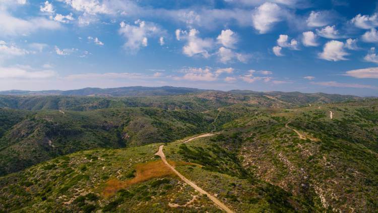 Conservation in Laguna Beach Conservation in Laguna Beach