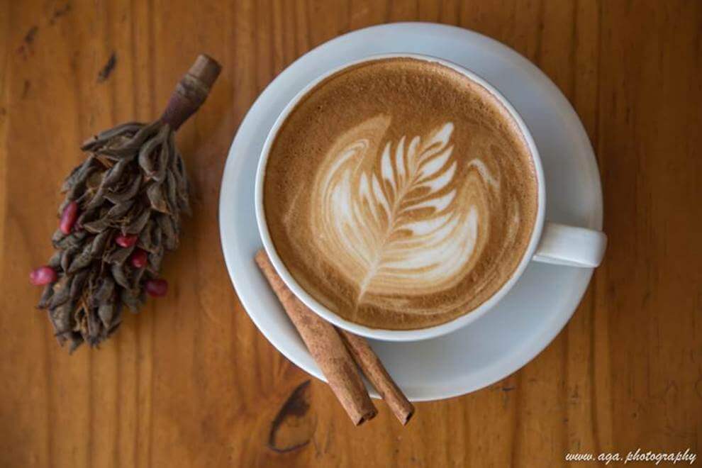 Thanksgiving Day Events in Laguna Beach Thanksgiving Day Events in Laguna Beach