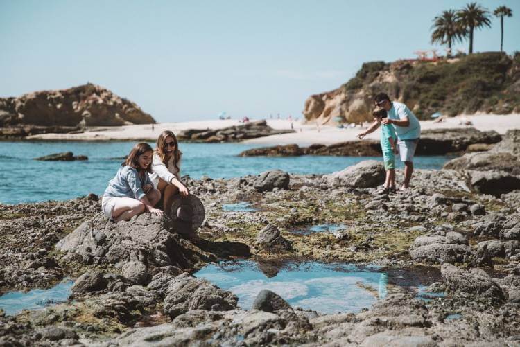 Conservation in Laguna Beach Conservation in Laguna Beach