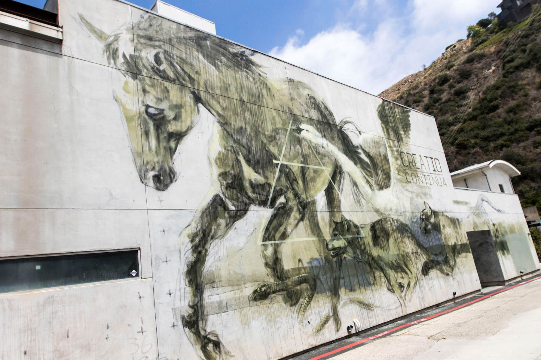 Let's Go to the Hive in Laguna Beach