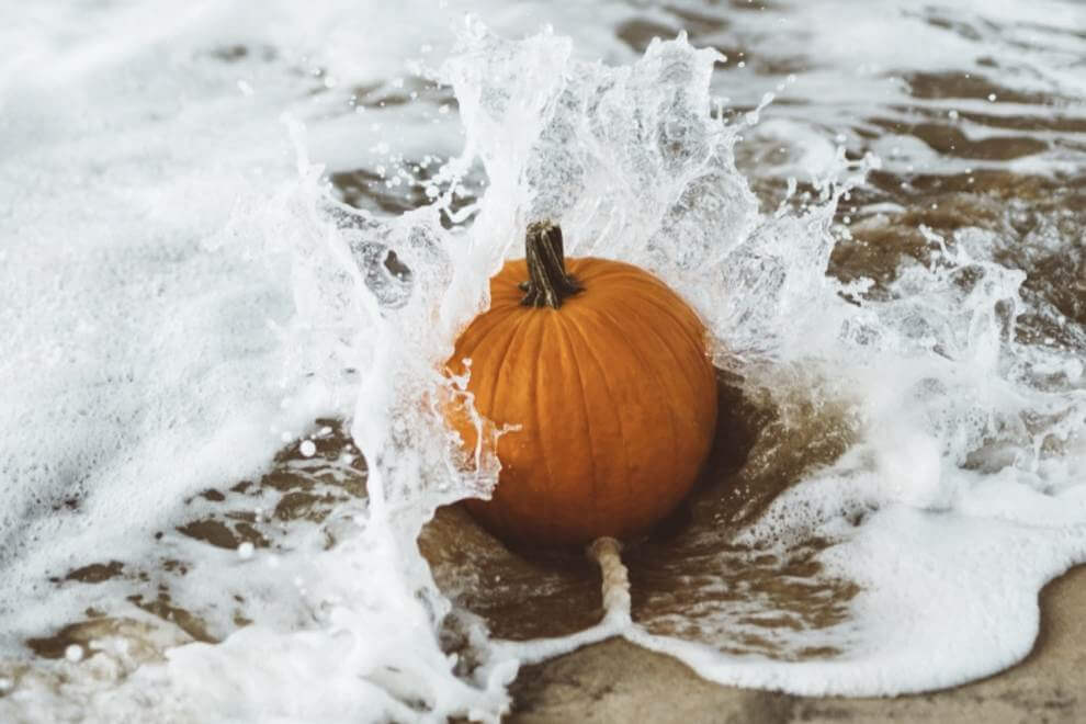 Your Guide to All Things Pumpkin in Laguna Beach Your Guide to All Things Pumpkin in Laguna Beach