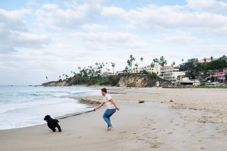 Dog-Friendly A dog having fun on a dog-friendly beach in Laguna Beach, CA.