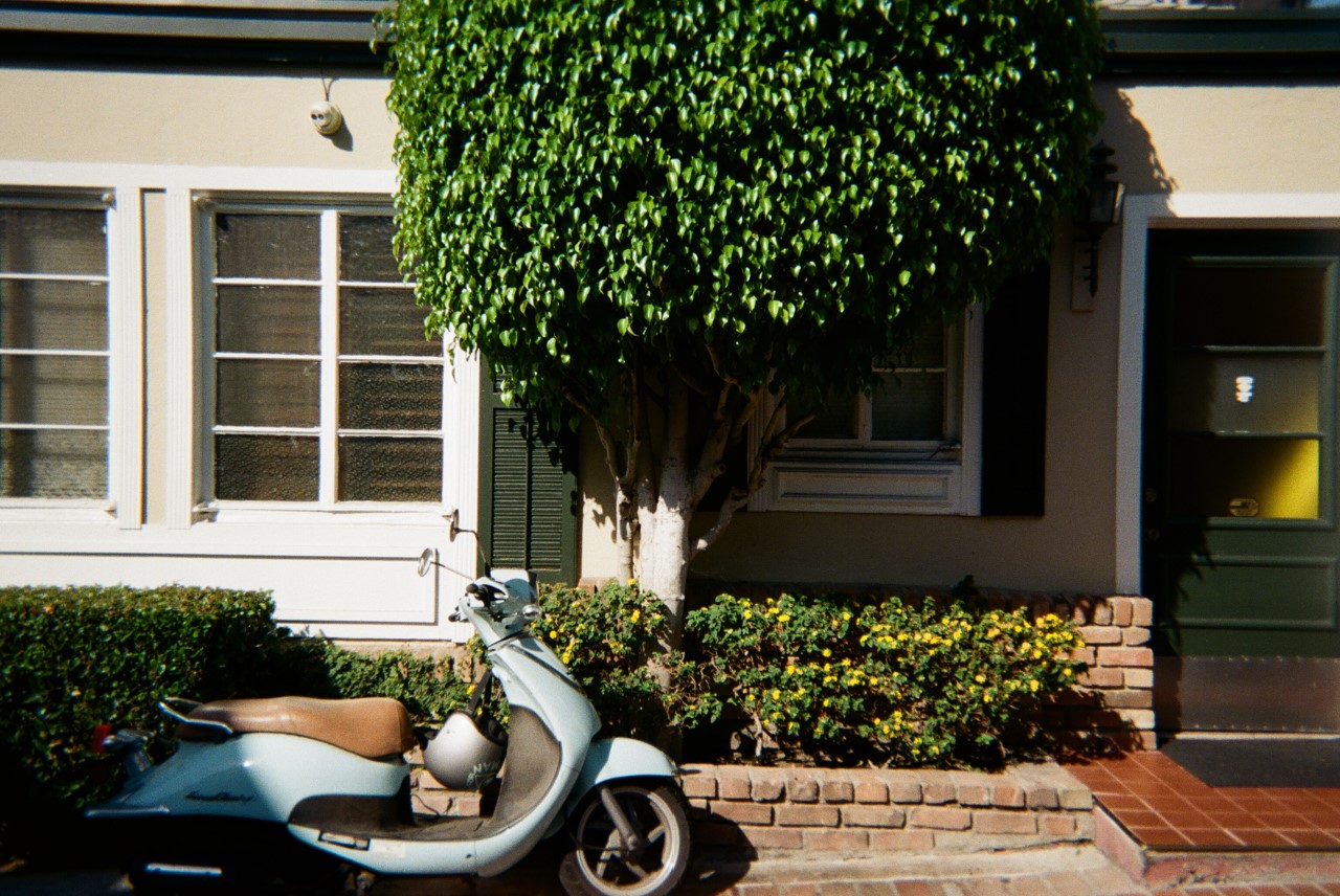 Laguna Beach Through My Eyes Laguna Beach Through My Eyes