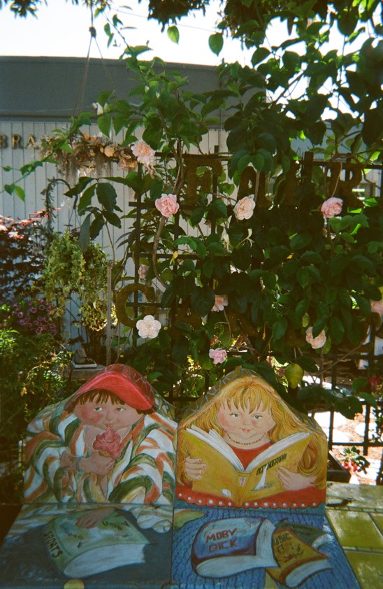 Laguna Beach Through My Eyes Laguna Beach Through My Eyes