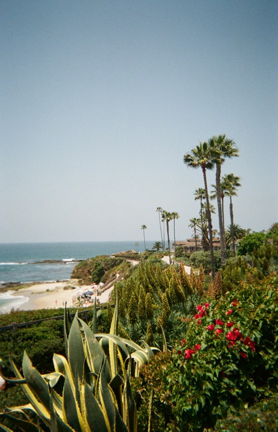 Laguna Beach Through My Eyes Laguna Beach Through My Eyes