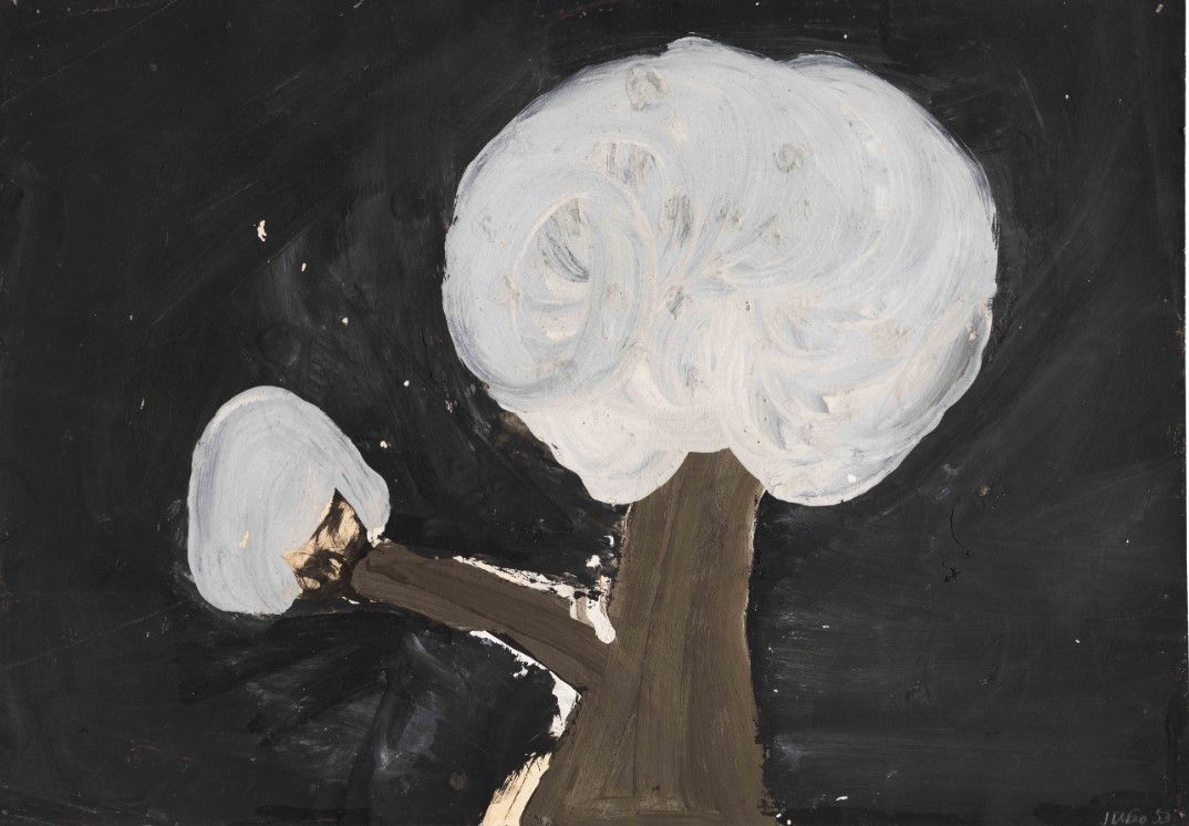 Art & Nature Art & Nature