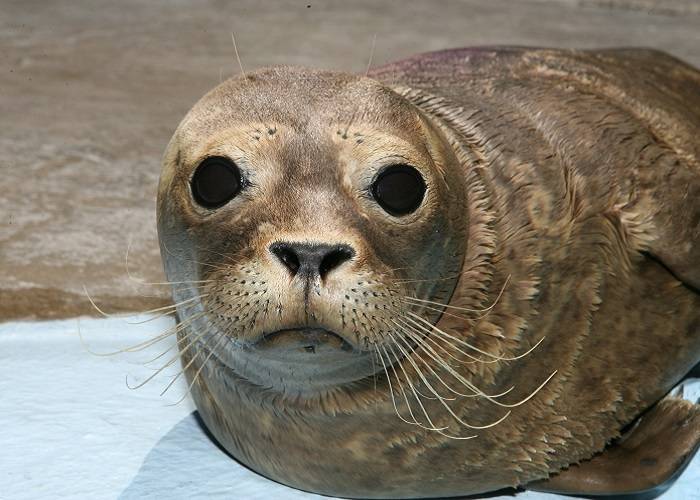 14 Free Things To Do