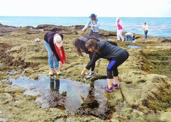 14 Free Things To Do