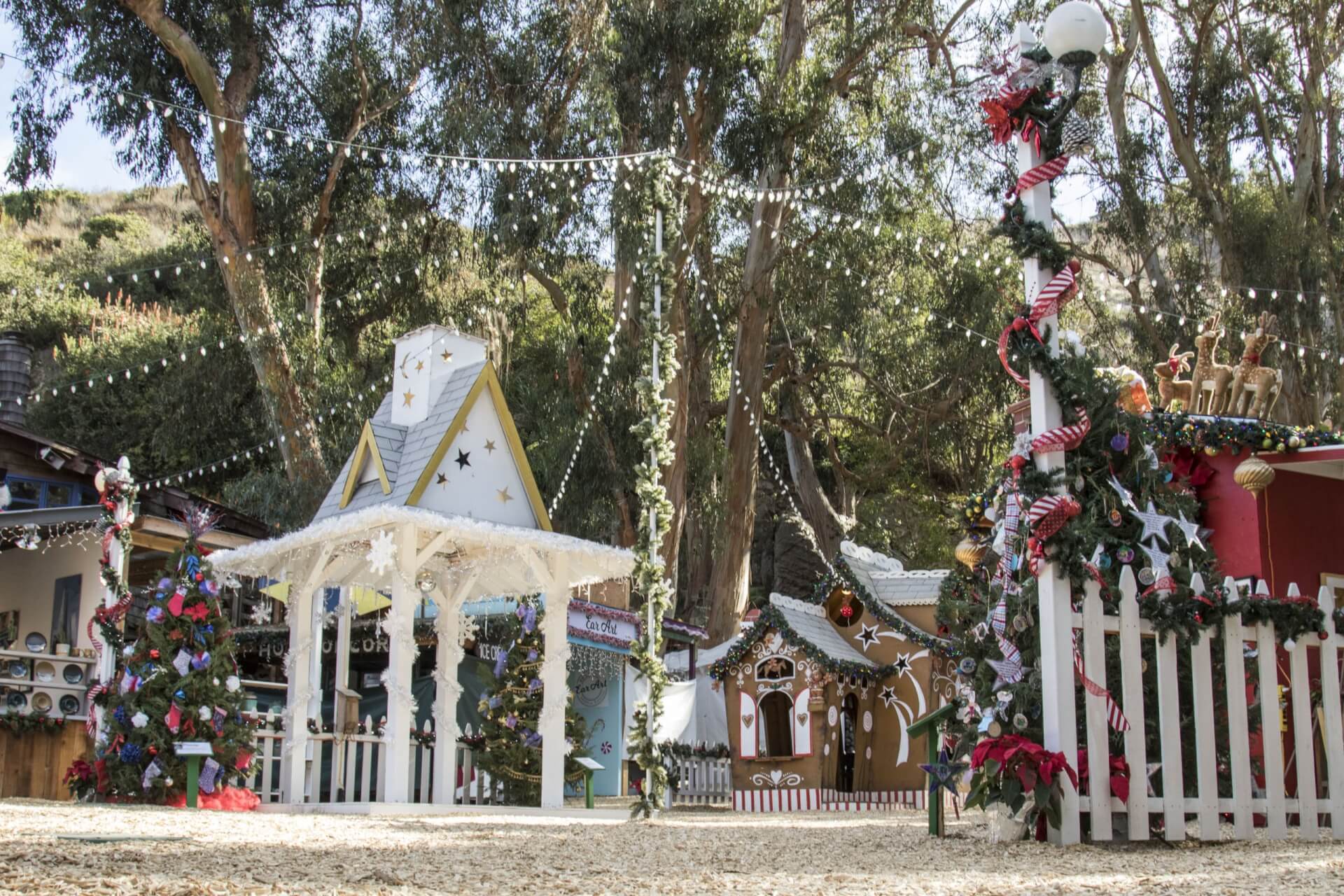 Sawdust Winter Fantasy Sawdust Winter Fantasy