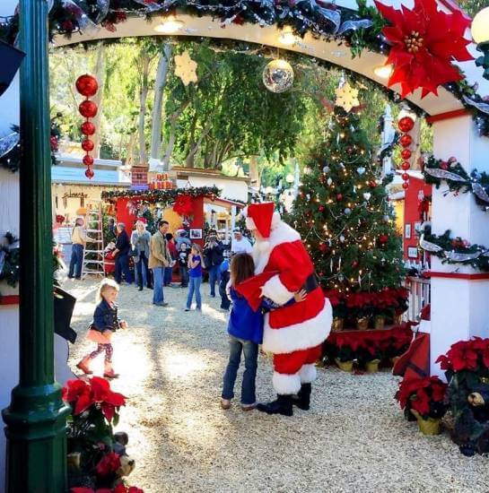 Sawdust Winter Fantasy Sawdust Winter Fantasy