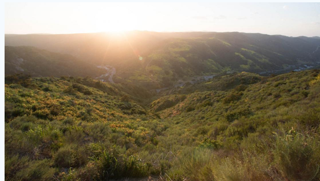 Aliso and Wood Canyon Wilderness Park Aliso and Wood Canyon Wilderness Park
