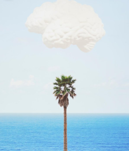 9 Things to Do in Laguna Beyond the Beach