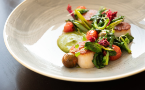 Discovering Michelin Mentioned Restaurants in Laguna Beach Discovering Michelin Mentioned Restaurants in Laguna Beach